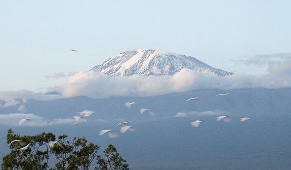 hiking-kilimanjaro