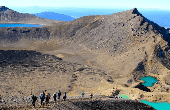 hiking-new-zealand