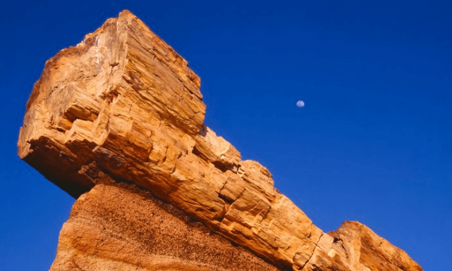 petrified-forest-arizona-hike